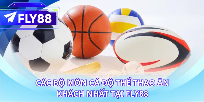 Các bộ môn cá độ thể thao ăn khách nhất tại FLY88