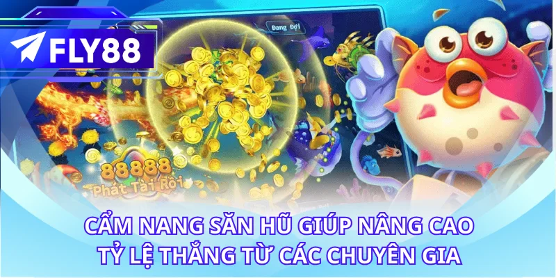 Cẩm nang săn hũ giúp nâng cao tỷ lệ thắng từ các chuyên gia