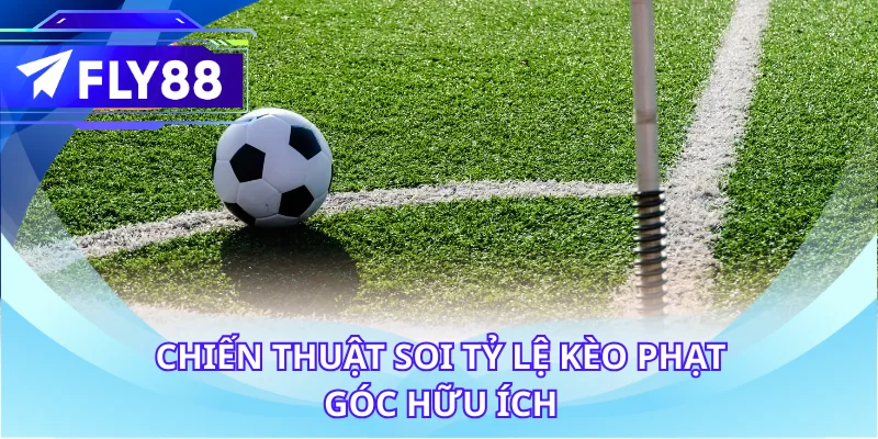 Chiến thuật soi tỷ lệ kèo phạt góc hữu ích