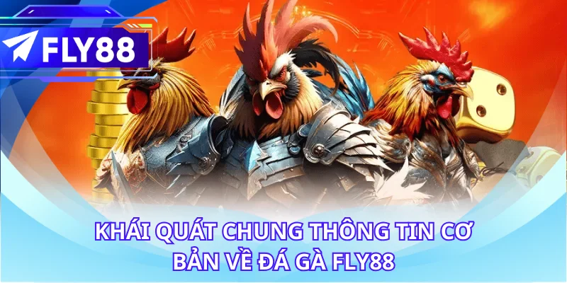 Khái quát chung thông tin cơ bản về đá gà FLY88