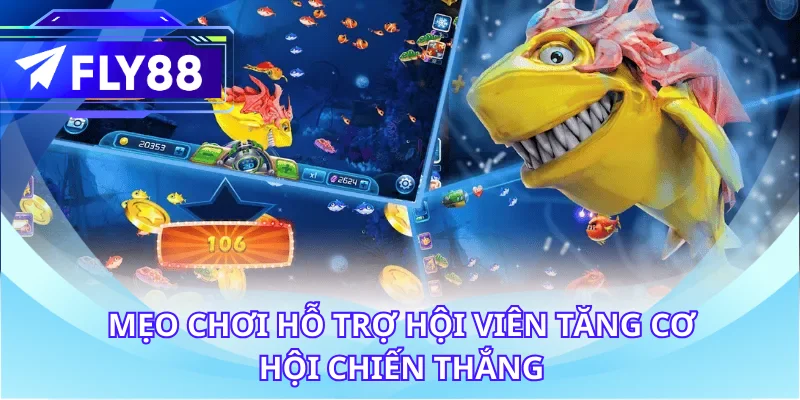 Mẹo chơi hỗ trợ hội viên tăng cơ hội chiến thắng