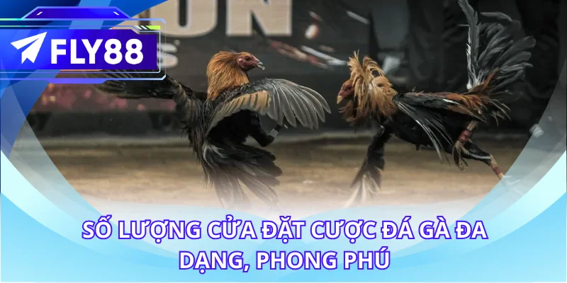 Số lượng cửa đặt cược đá gà đa dạng, phong phú