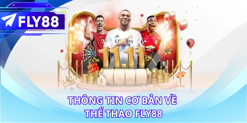 Thông tin cơ bản về thể thao FLY88